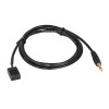 BMW AUX IN 10 Pin 150cm